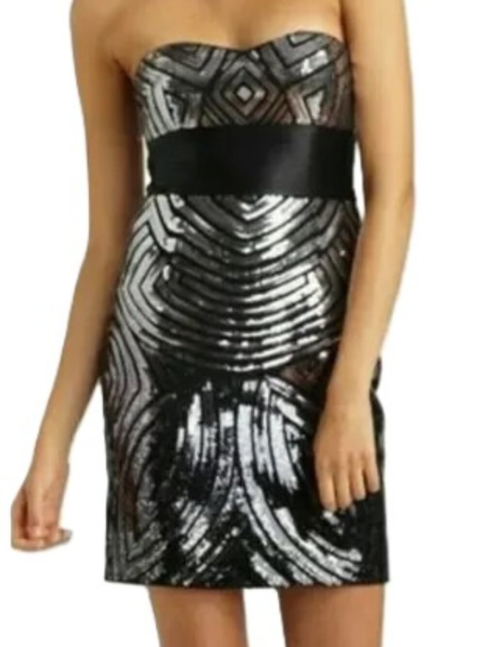 BCBG Maxazria Sequin Silk Dress Size 02